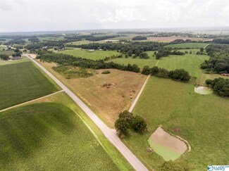 15 Alabama 207, Anderson, AL 35610