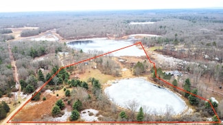 10921 N Pine Grove Ln, Bitely, MI 49309