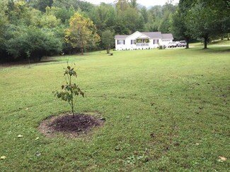 9143 Millertown Pike, Mascot, TN 37806