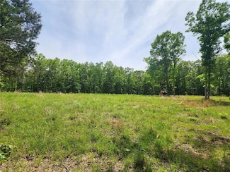 TBD Jaxon Ln, Fairdealing, MO 63939