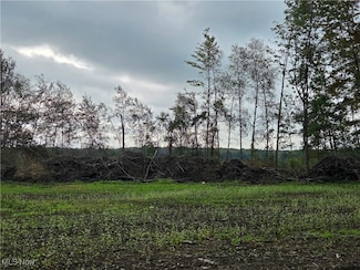 0 Griffey Rd, Lundys Lane, PA 16401