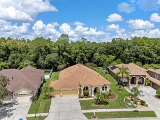 18432 Eastwyck Dr, Tampa, FL 33647