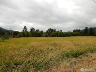 0 Finsrud Rd Unit NWM2349199, Everson, WA 98247