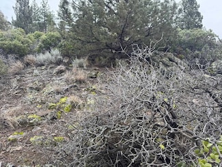 Unit 4 Lot 405 Condor Unit 4, Weed, CA 96094