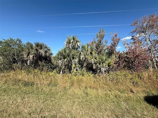 14881 NW 284th St, Okeechobee, FL 34972