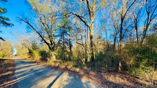 TBD Dancinger Road County Road 3504, Longview, TX 75604