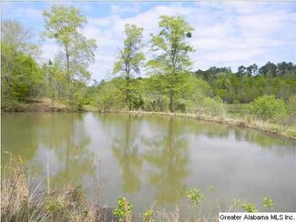 576 Lake Haven Dr, Deatsville, AL 36022