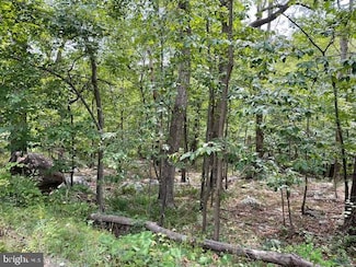 0 Opossum Trail Unit VAFV2020618, Winchester, VA 22602