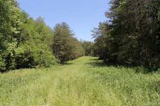 106.542 ac Grassy Knob Rd, Union Grove, NC 28689