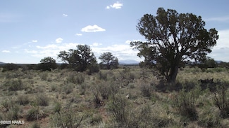 221 S Silver Oaks Dr, Valle, AZ 86046