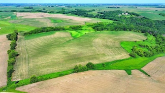 TBD 265th Ave, West Albany Township, MN 55041