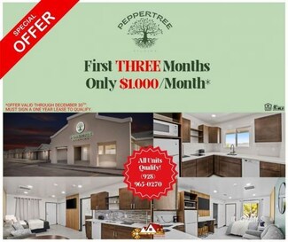 1879 W Peppertree Dr Unit C13, Safford, AZ 85546