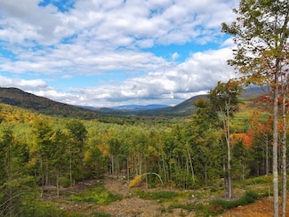 15-12-10-10 Jacob Hall Farm Rd, Rumney, NH 03266