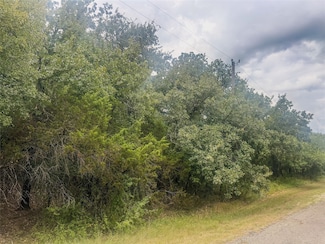 18014 S Hill Dr, Whitney, TX 76692