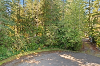 21 N Ruddy Place, Hoodsport, WA 98548