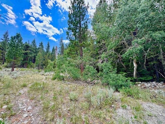 85 Shadow Pines Rd Unit 4-6, June Lake, CA 93529