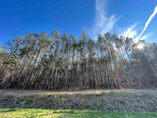0 Rock Fence Rd NW Unit 10456444, Adairsville, GA 30103