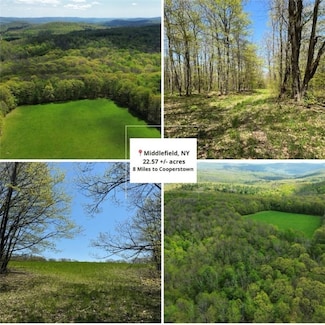 0 Barnum Rd Unit R1607462, Middlefield, NY 13320