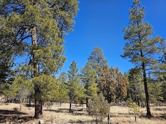 2591 Katie's Way, Blue Ridge, AZ 86024