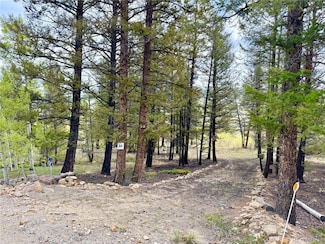 2886 Redhill Rd Unit 62, Fairplay, CO 80440