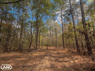 0 Co Rd 359 Unit 25541611, Maplesville, AL 36750