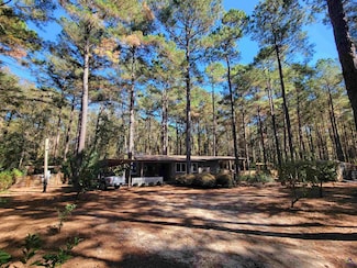 1159 Pineview Hwy, Pineview, GA 31071