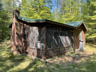 9097 N Granger Rd, Irons, MI 49644