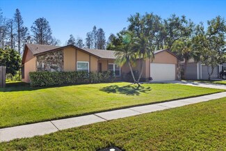 4908 Oakshire Dr, Tampa, FL 33625