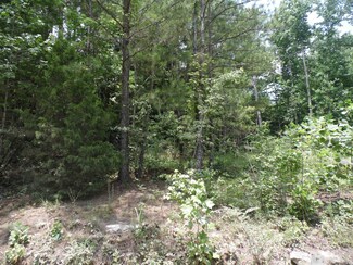 0 County Road 1218, Vinemont, AL 35179