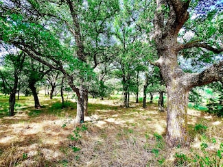 10540 Highway 281, Perrin, TX 76486