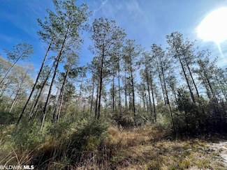 0 Whitehouse Fork Rd Unit 339317, Bay Minette, AL 36507