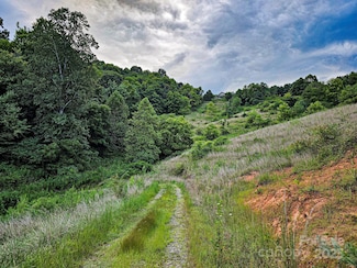 Lot 1 Murphy Cove Rd, Candler, NC 28715