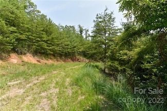 Lot 9 the Vines Blvd Unit Lot 9, Marshall, NC 28753