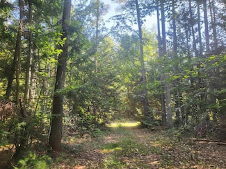 45 Morris Ave Unit Tax Map 406-34 AKA L, Effingham, NH 03882