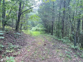 0 Sinks (103 Acres) Rd Unit 9984819, Blackwater, VA 24221