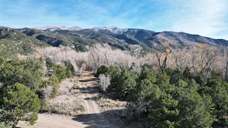 126 Cedar Ridge Rd Unit 2, Mosca, CO 81146