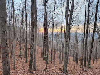 22 Mountain Lookout Dr, Bostic, NC 28018