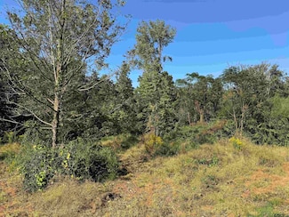 7079 Farm To Market 241, Alto, TX 75925