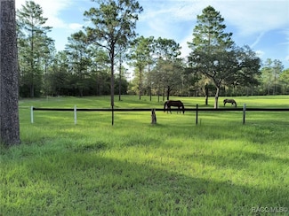 7471 W Quiana Ln, Dunnellon, FL 34433