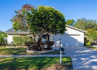 13912 Hayward Place, Tampa, FL 33618