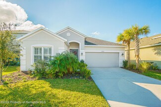 29714 Chapel Chase Dr, Wesley Chapel, FL 33545