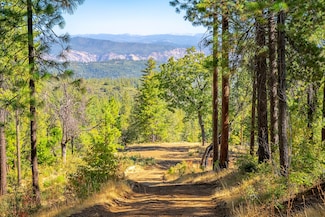 0 Tbd Wagner Ridge Rd, Coulterville, CA 95311