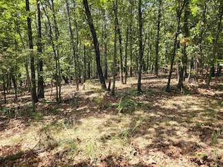 L101-103, B-3 Lightning Cir, Highland, AR 72542