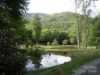 100 Tenderfoot Trail Unit 100 & 101, Maggie Valley, NC 28751