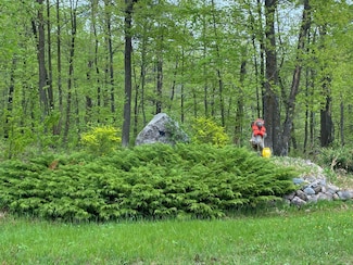 LOT 16 Bear Tract Ln NE, Longville, MN 56655