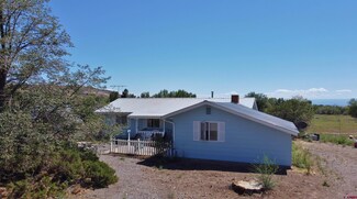12303 W Spring Cir, Eckert, CO 81418