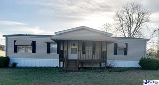 1110 Lamar Hwy, Darlington, SC 29532