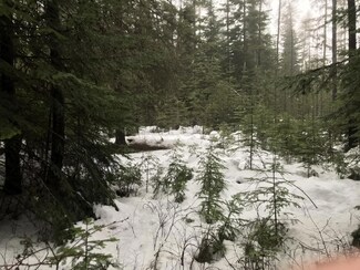 XXXX Pine Dr, Cusick, WA 99119