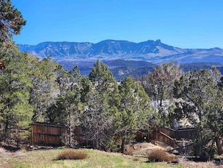 242 Fir Ave, Crawford, CO 81415