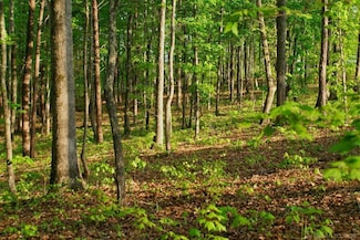 11261 21 Mile Rd, Utica, MI 48317